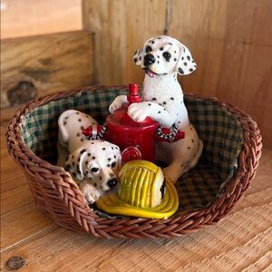 Living Stone Dalmatians in Basket